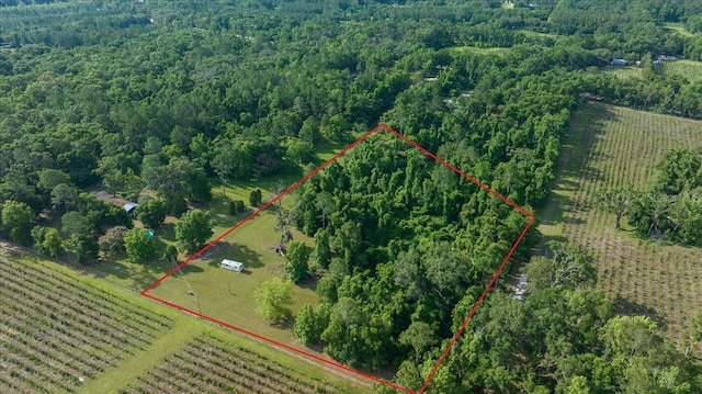 328 SW Gulliver Ct, High Springs, FL 32643 - photo 1