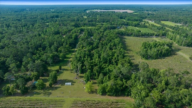 328 SW Gulliver Ct, High Springs, FL 32643 - photo 2