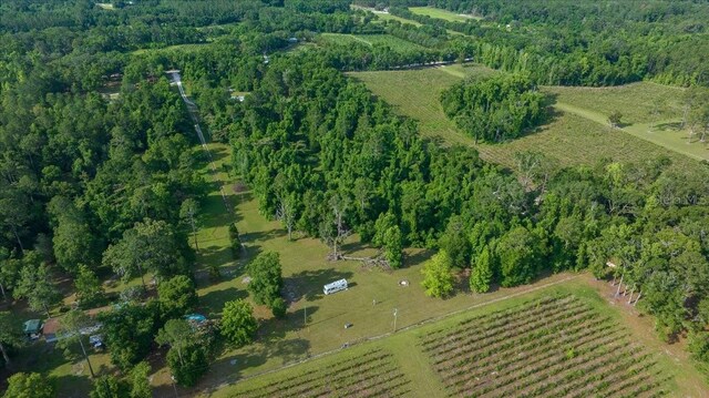 328 SW Gulliver Ct, High Springs, FL 32643 - photo 3