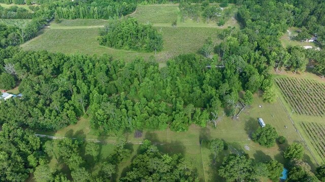 328 SW Gulliver Ct, High Springs, FL 32643 - photo 4