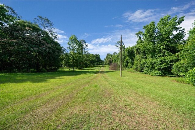 328 SW Gulliver Ct, High Springs, FL 32643 - photo 27