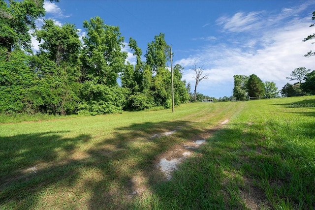 328 SW Gulliver Ct, High Springs, FL 32643 - photo 29