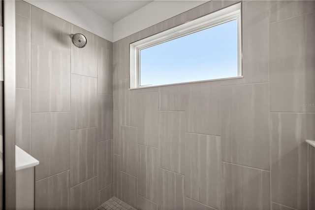 7199 SW 60th Ln, Ocala, FL 34474 - full bath with a tile shower