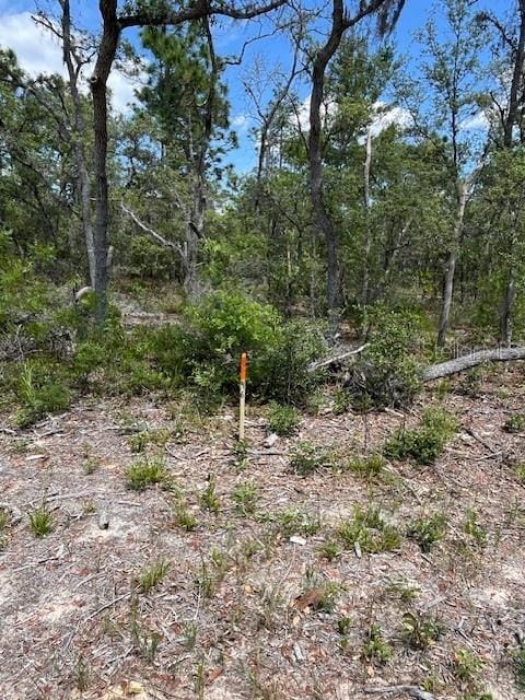 TBD Sw 57th Avenue 46 & 47, Interlachen, FL 32148 - photo 1