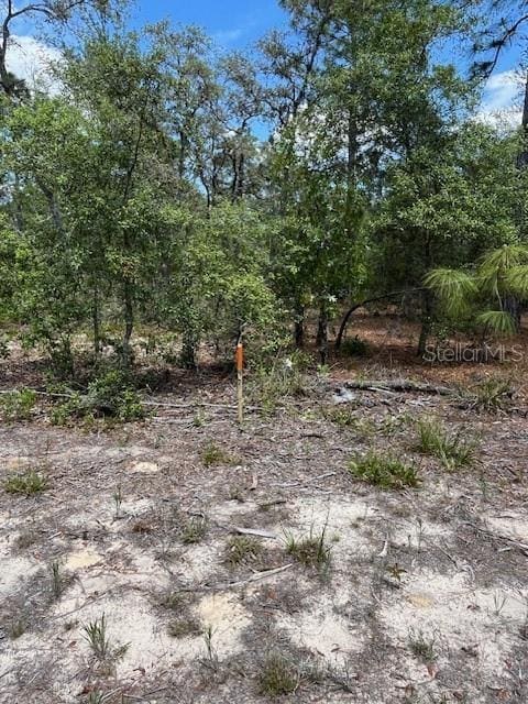 TBD Sw 57th Avenue 46 & 47, Interlachen, FL 32148 - photo 2