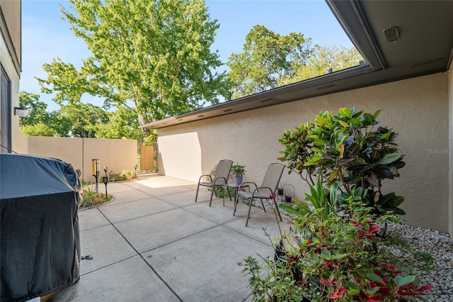 3815 NE 17th Street Cir, Ocala, FL 34470 - view of patio / terrace with fence and grilling area