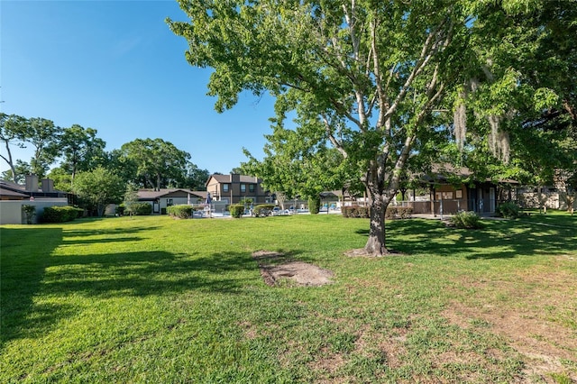 3815 NE 17th Street Cir, Ocala, FL 34470 - view of grassy yard