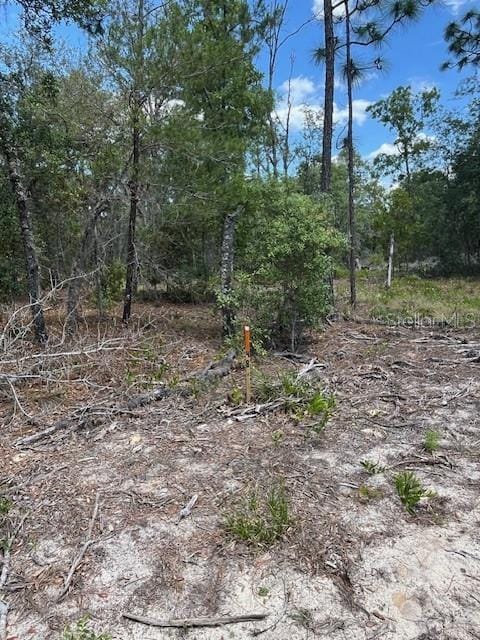 TBD Sw 57th Avenue 48 & 49, Interlachen, FL 32148