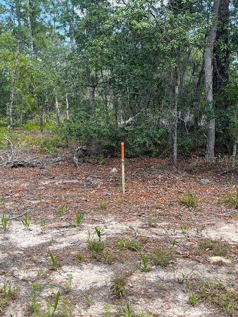 TBD Sw 57th Avenue 48 & 49, Interlachen, FL 32148