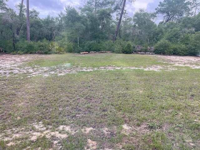 view of yard with a forest view