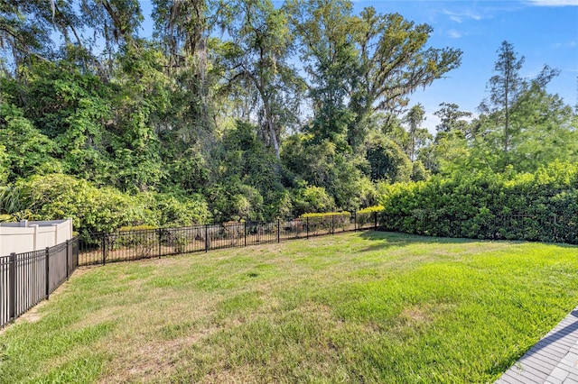 6557 SE 4th Ln, Ocala, FL 34472 - view of yard