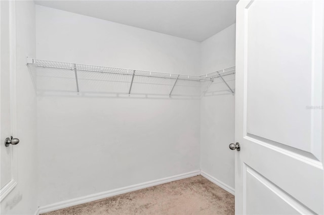 walk in closet featuring light carpet
