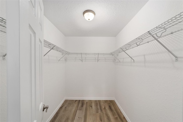 25 Juniper Pass Way, Ocala, FL 34480 - walk in closet with wood finished floors