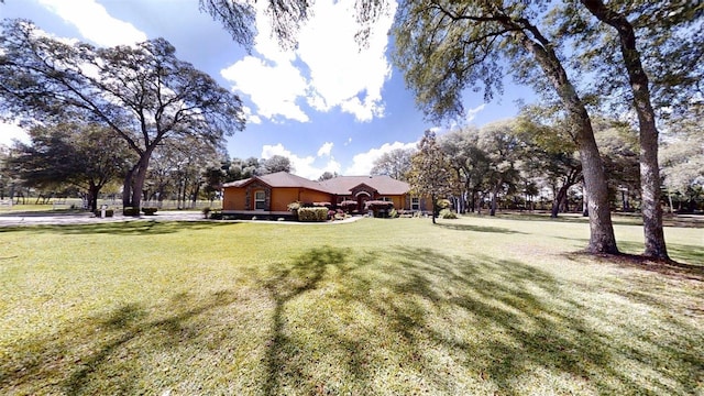 10528 SW 27th Ave, Ocala, FL 34476 - view of grassy yard