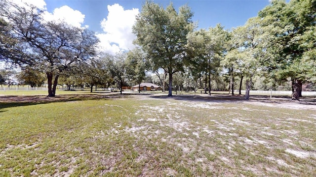 10528 SW 27th Ave, Ocala, FL 34476 - view of yard