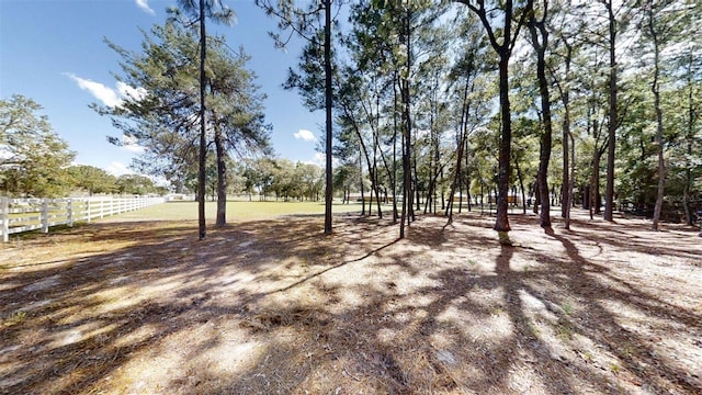 10528 SW 27th Ave, Ocala, FL 34476 - view of yard