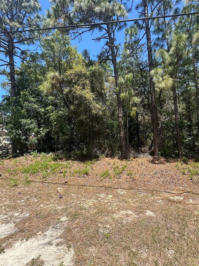 557 W Anderson Ln, Citrus Springs, FL 34434