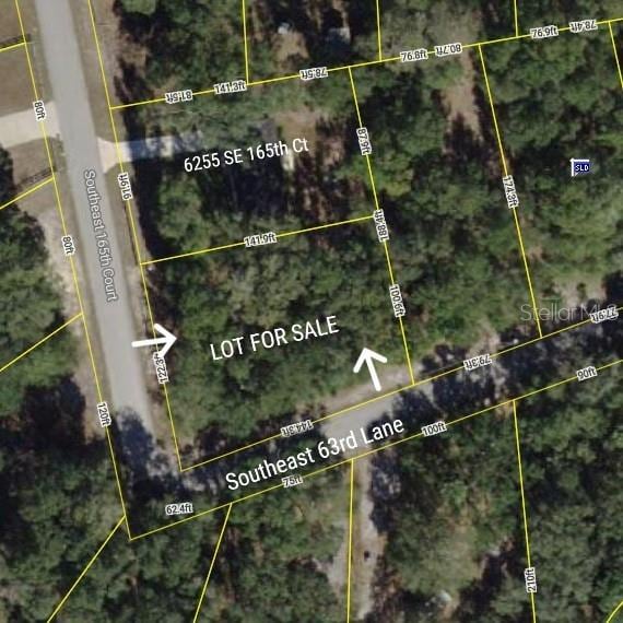 TBD SE 165th Ct, Ocklawaha, FL 32179