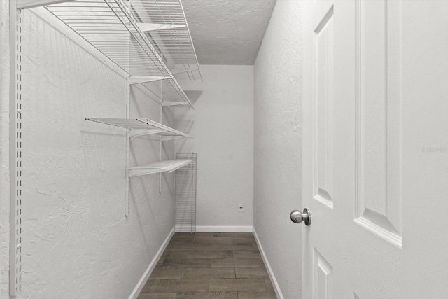 3728 S Eastpark Way, Homosassa, FL 34446 - walk in closet with wood finished floors