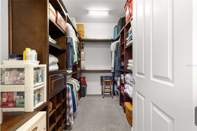 9642 SW 95th Loop, Ocala, FL 34481 - spacious closet with carpet