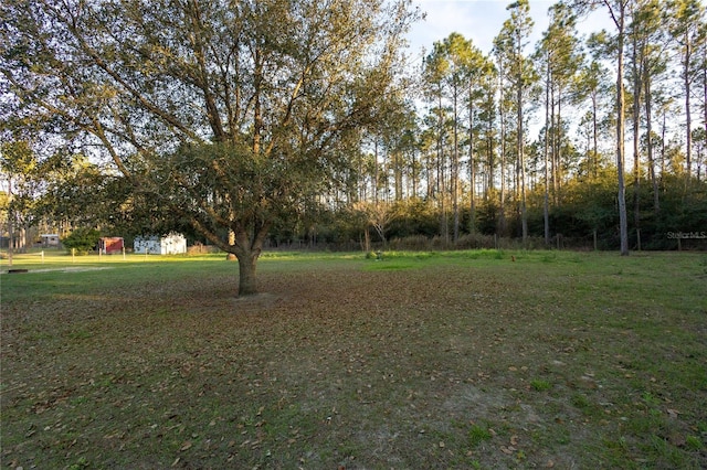 831 SE 11th Pl, Williston, FL 32696 - view of grassy yard