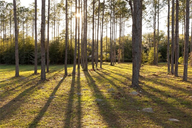 831 SE 11th Pl, Williston, FL 32696 - view of green lawn