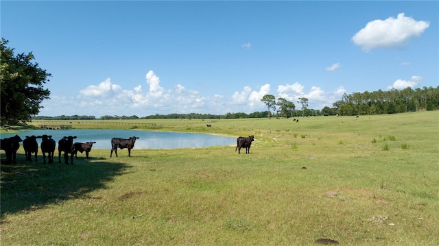 00 SE 220th Ave, Dunnellon, FL 34431
