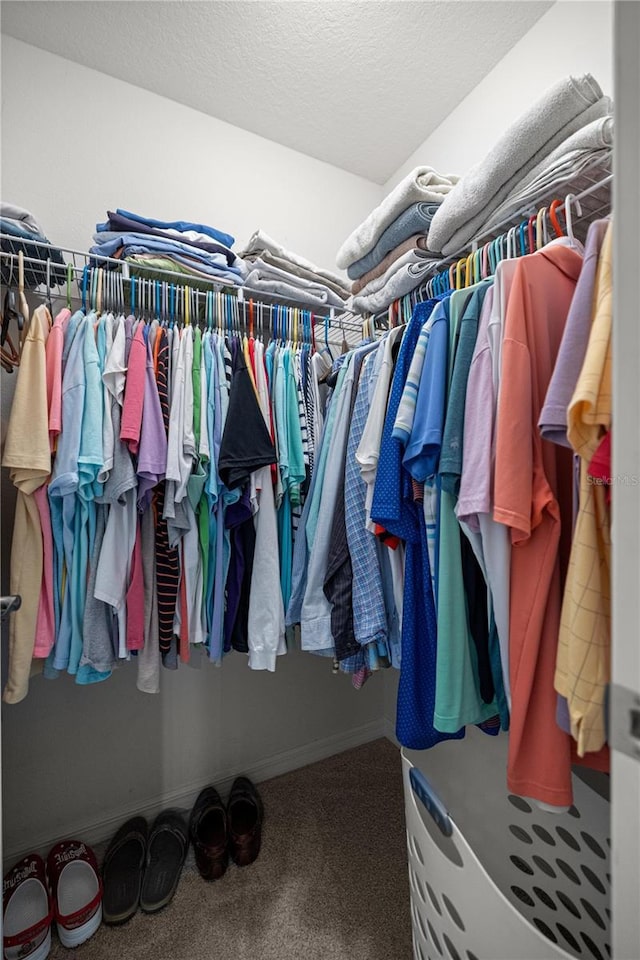 8352 SE 168th Trinity Pl, The Villages, FL 32162 - walk in closet featuring carpet flooring