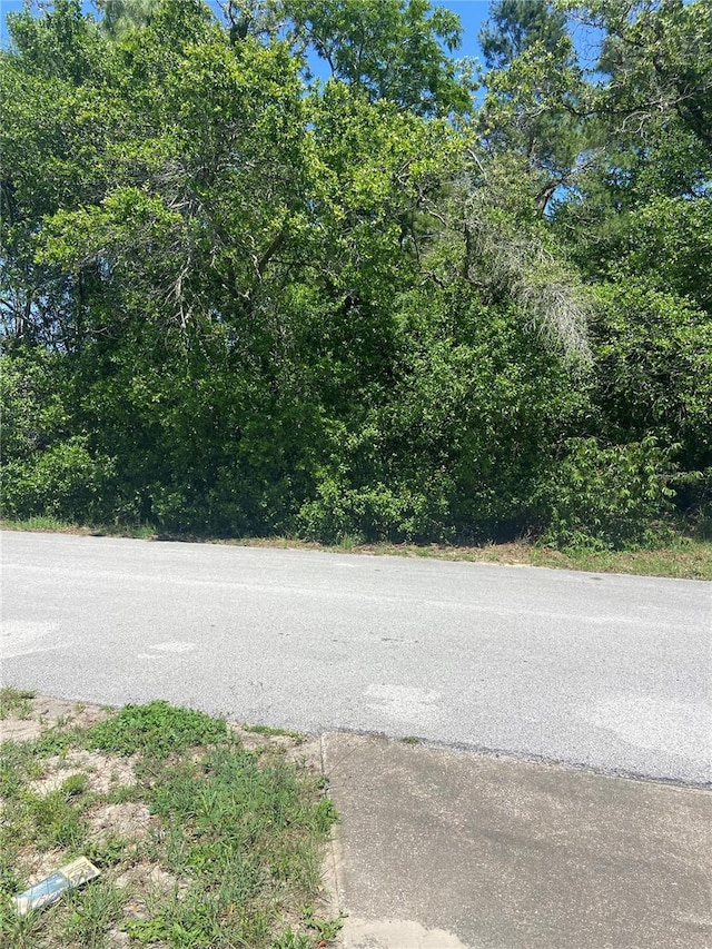 Bluffview Dr, Spring Hill, FL 34609