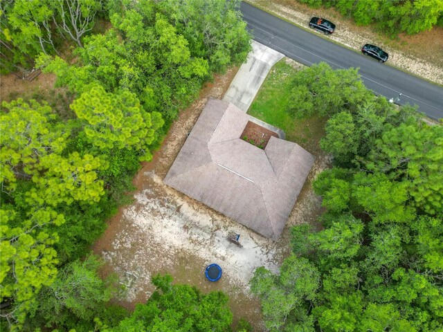 9922 N Wayland Ave, Citrus Springs, FL 34434 - photo 46