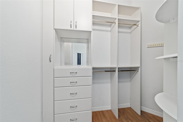 2631 SW 20th Cir, Ocala, FL 34471 - spacious closet with wood finished floors