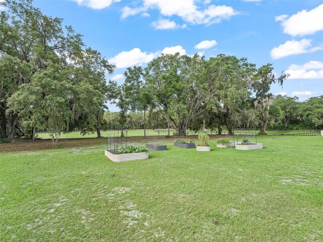 5330 NE 111th Lane Rd, Anthony, FL 32617 - view of grassy yard featuring a vegetable garden and view of wooded area