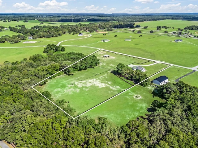 5330 NE 111th Lane Rd, Anthony, FL 32617 - drone / aerial view