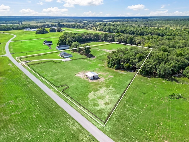 5330 NE 111th Lane Rd, Anthony, FL 32617 - aerial overview of property's location featuring property boundaries highlighted