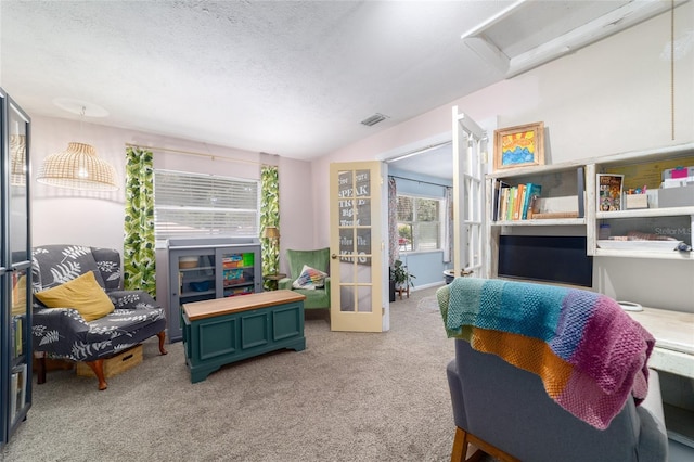 6060 SE 119th Pl, Belleview, FL 34420 - sitting room with carpet floors and a textured ceiling
