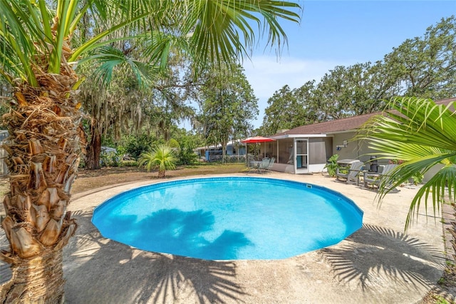 6060 SE 119th Pl, Belleview, FL 34420 - swimming pool with a sunroom and a patio