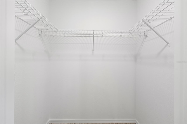7536 SW 60th St, Ocala, FL 34476 - view of spacious closet