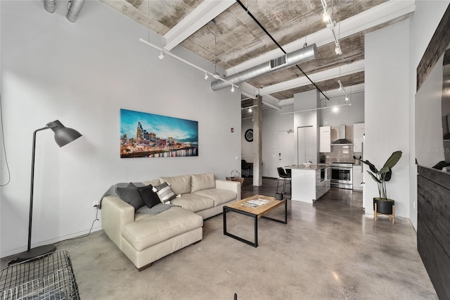 302 SE Broadway St Unit 240, Ocala, FL 34471 - living area with concrete floors, a towering ceiling, and track lighting