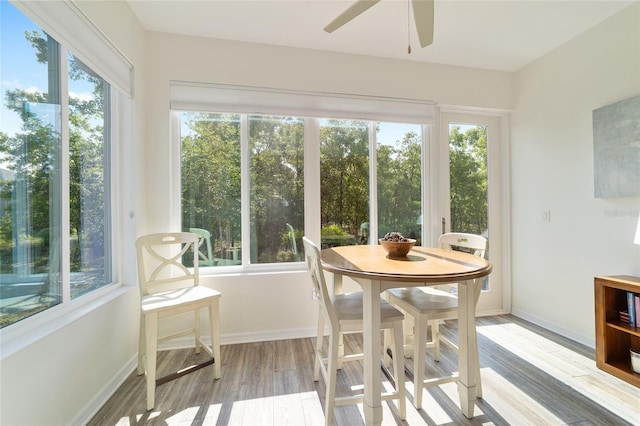 9309 SW 106th Ave, Ocala, FL 34481 - sunroom / solarium featuring plenty of natural light, wood finished floors, and baseboards