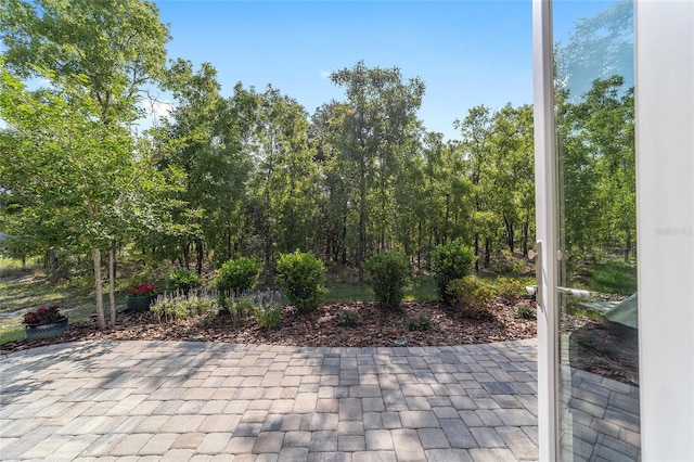 9309 SW 106th Ave, Ocala, FL 34481 - view of patio
