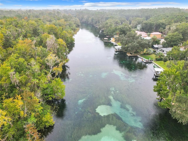 8926 SW 192nd Court Rd, Dunnellon, FL 34432 - drone / aerial view of a large body of water and a forest