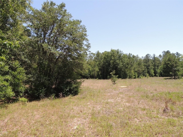TBD SE 55th St, Morriston, FL 32668
