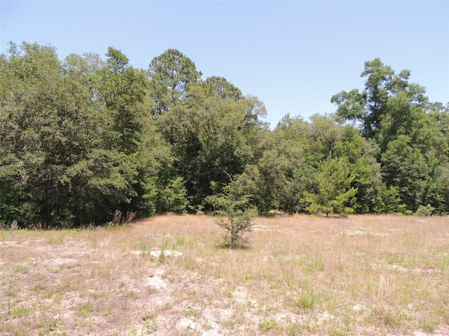 TBD SE 55th St, Morriston, FL 32668