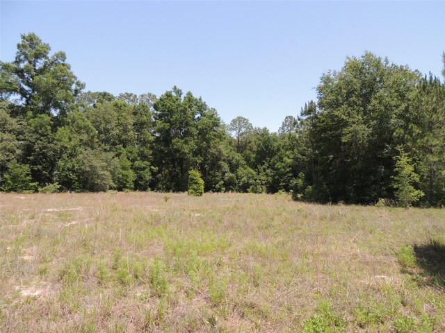 TBD SE 55th St, Morriston, FL 32668