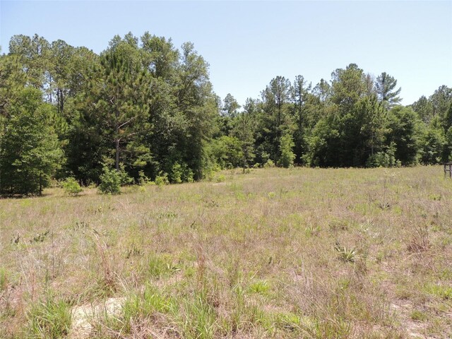 TBD SE 55th St, Morriston, FL 32668