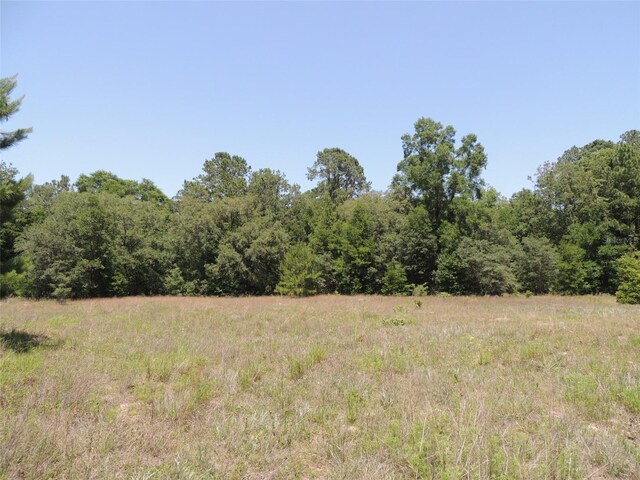 TBD SE 55th St, Morriston, FL 32668