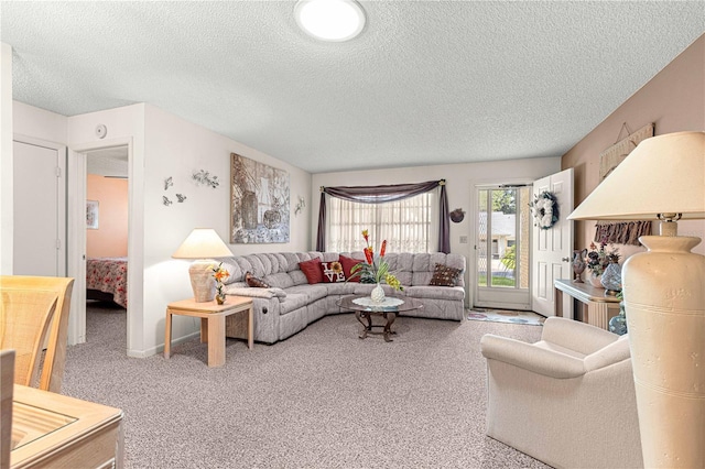8710 SW 91st St Unit E, Ocala, FL 34481 - living room with a textured ceiling and carpet floors