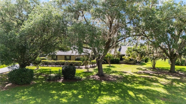 view of grassy yard