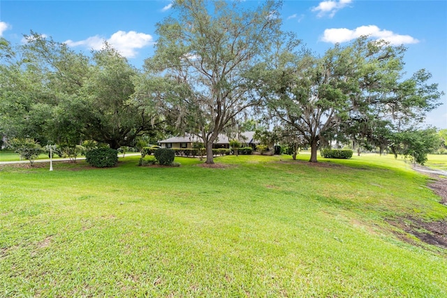 view of grassy yard