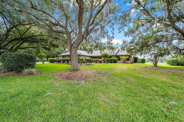 view of grassy yard